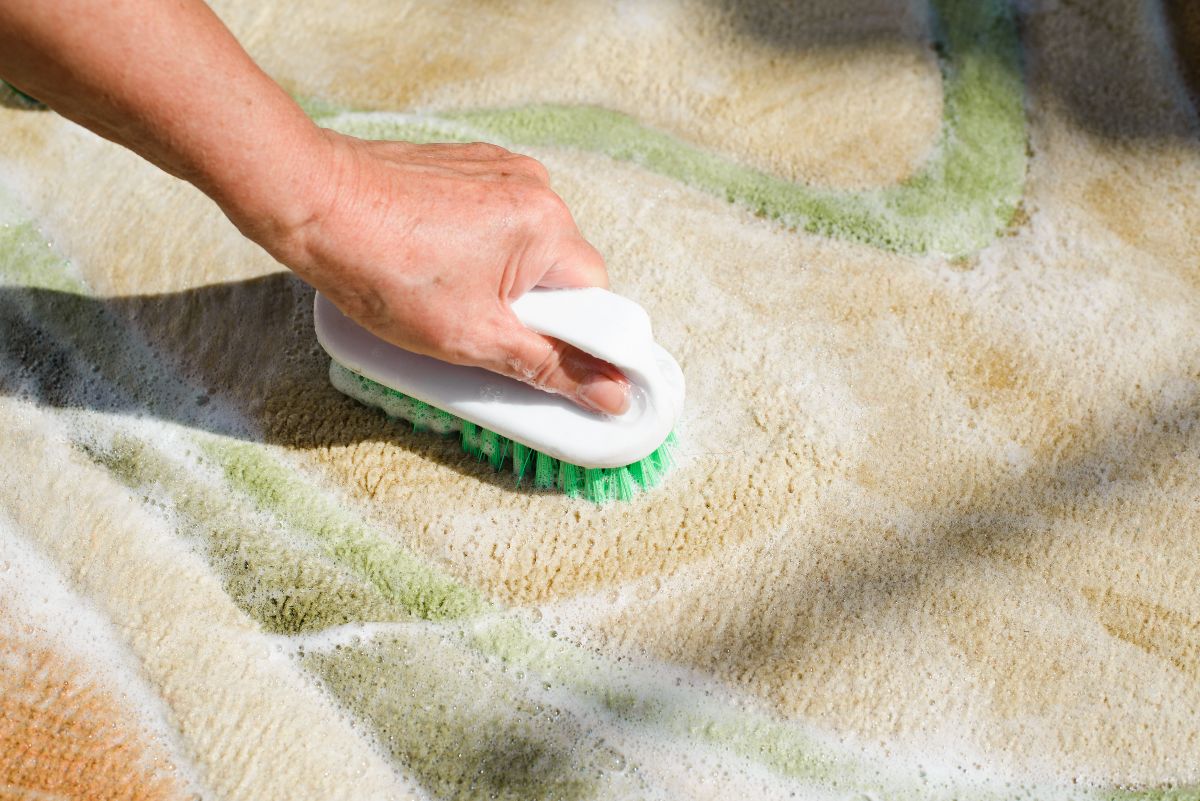 Machine à laver les tapis, Nettoyage et entretien